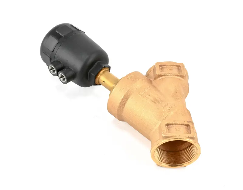 Kaeser Purge Exhaust Valve Replacement - Us3152701 1