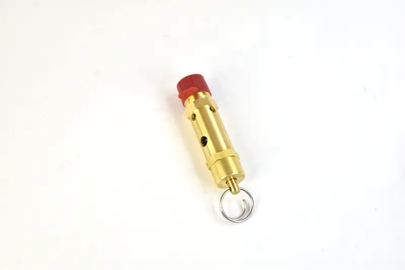 Kaeser Safety Valve Replacement - Us7400684 1