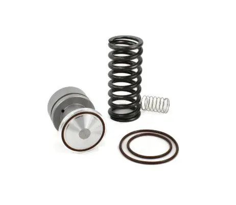 Kaishan Minimum Pressure Check Valve Kit Replacement - 040060500100 1