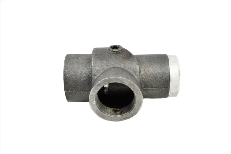 Leroi Minimum Pressure Check Valve Replacement - 15-1622 1