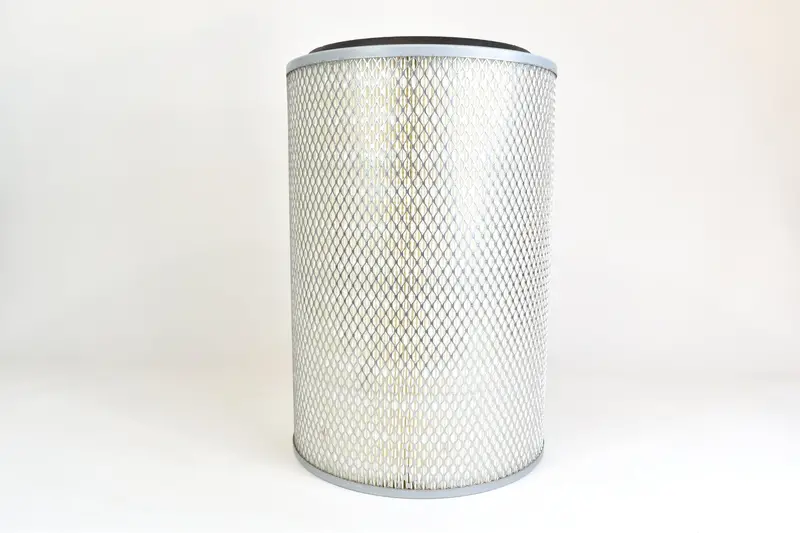 Mann Filter Air Filter Replacement - C29939 1