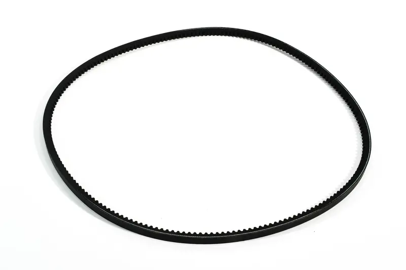 Quincy Belt Set Replacement - 2204152056 1