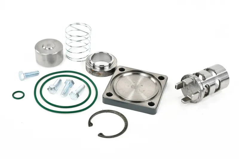 Quincy Check Valve Kit Replacement - 2012103091 1