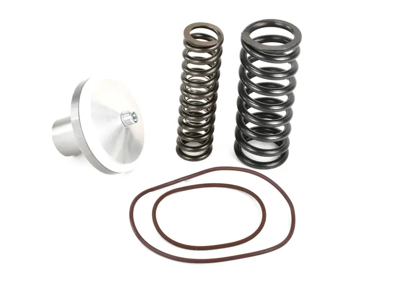 Quincy Minimum Pressure Check Valve Kit Replacement - 2012103103 1