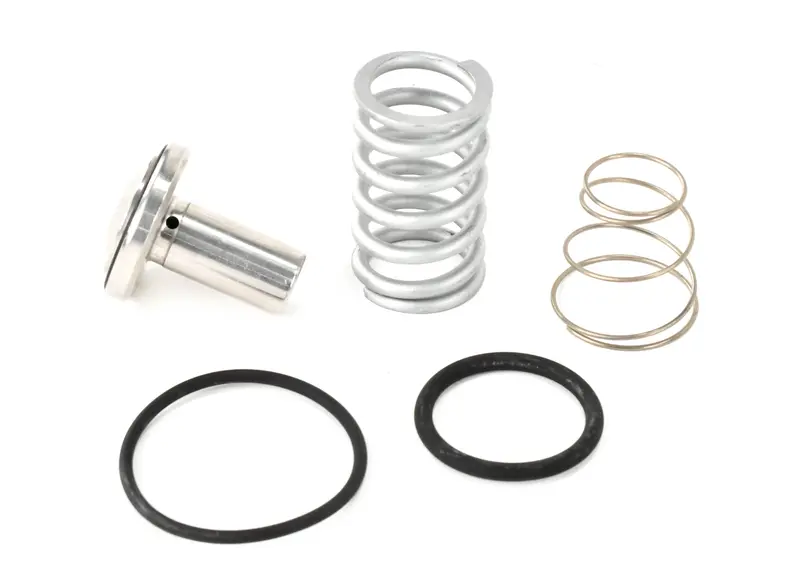 Quincy Minimum Pressure Check Valve Kit Replacement - 2013900406 1