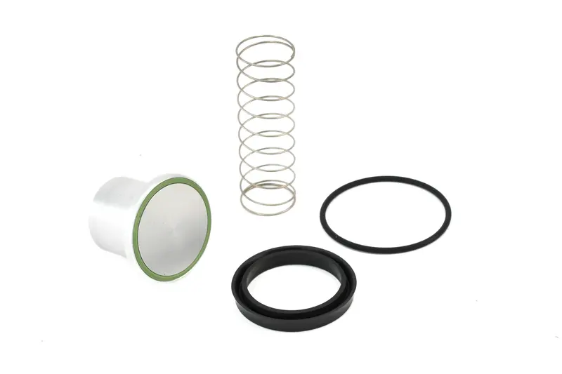 Quincy Minimum Pressure Check Valve Kit Replacement - 2013900408 1