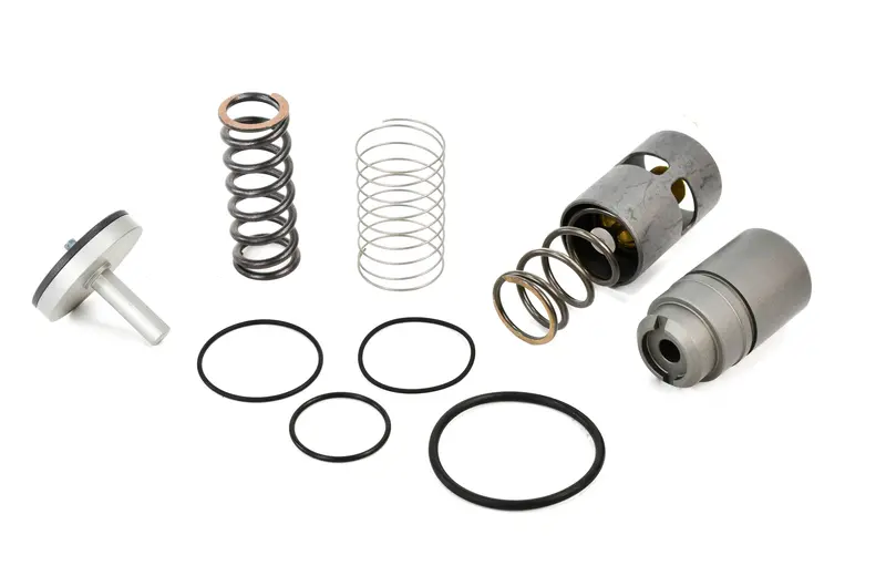 Quincy Minimum Pressure Check Valve Kit Replacement - 2901354500 1