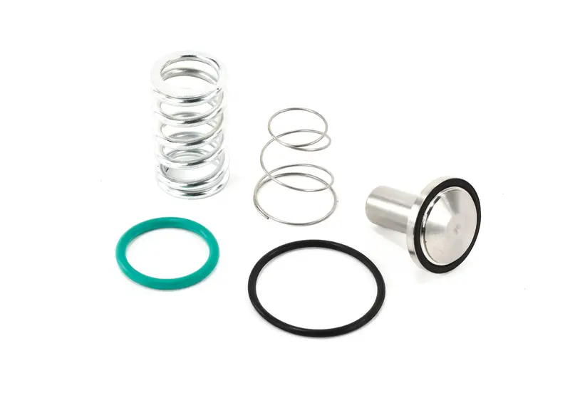 Quincy Minimum Pressure Check Valve Kit Replacement - 6231933500 1