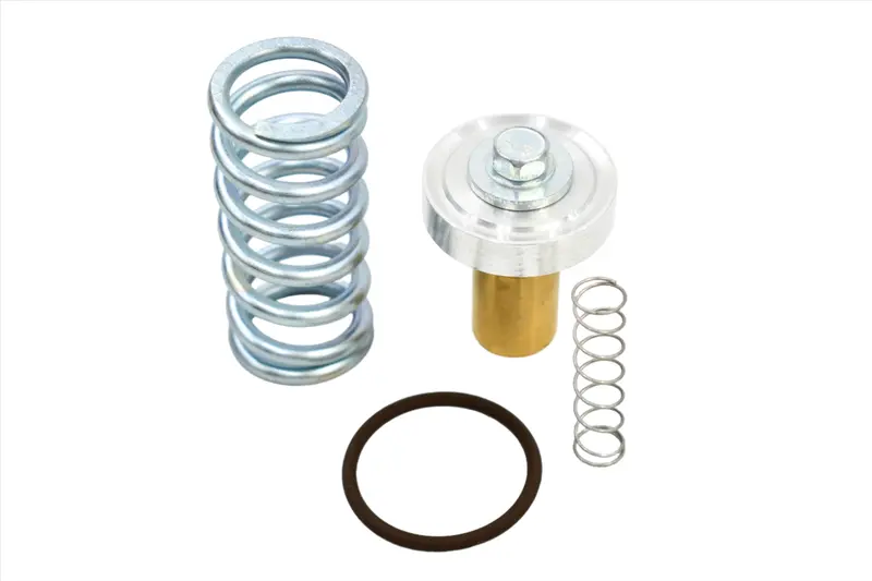 Quincy Minimum Pressure Check Valve Service Kit Replacement - 128813-054 1