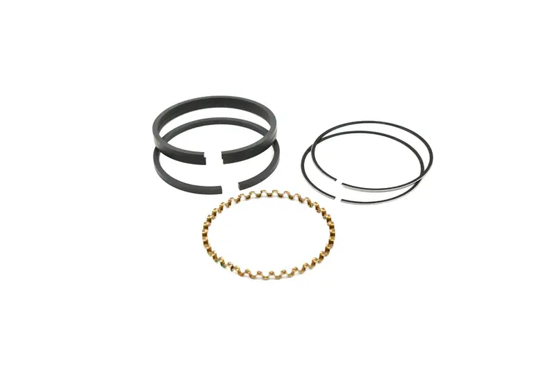 Quincy Ring Kit Replacement - 2022111401 1