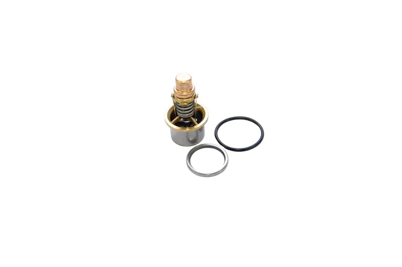 Quincy Thermal Valve Kit Replacement - 22331-002 1