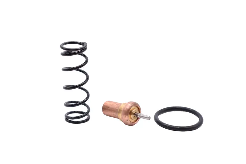 Quincy Thermostatic Valve Kit Replacement - 2013900701 1