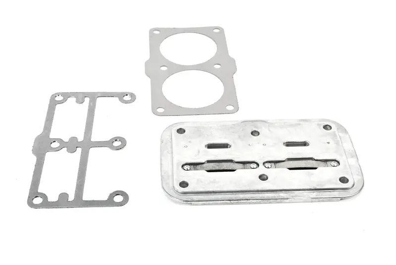 Quincy Valve Plate Replacement - 2022125301 1