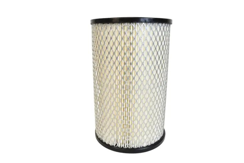 Solberg Air Filter Replacement - 230P 1