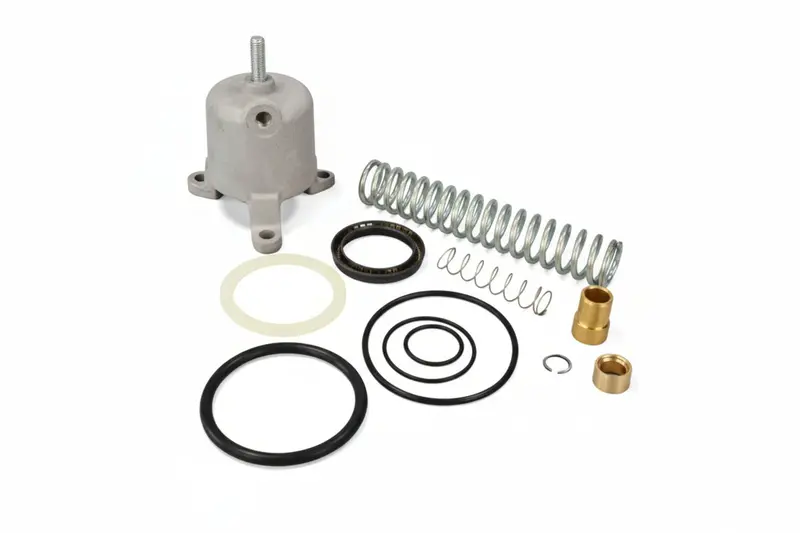 Speedair Inlet Valve Repair Kit Replacement - Efc89555209 1