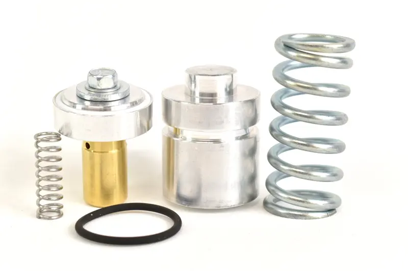 Sullivan-Palatek Minimum Pressure Check Valve Kit Replacement - 00717708-0001 1