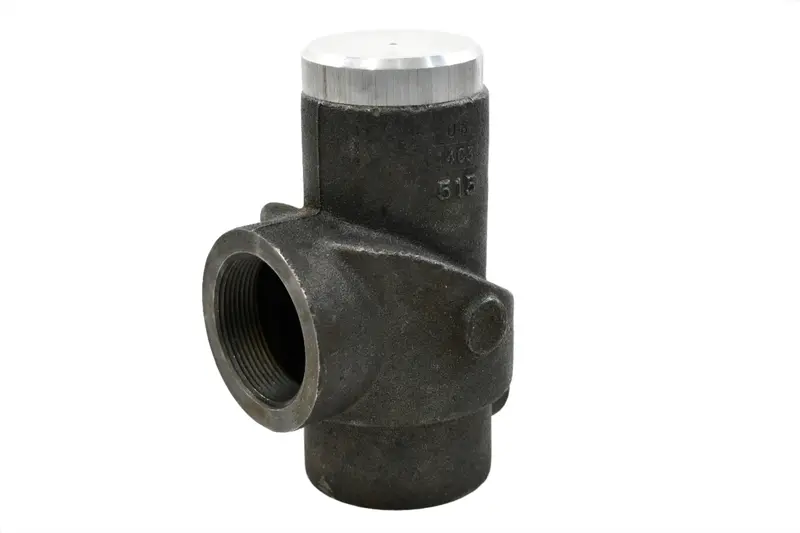 Sullivan-Palatek Minimum Pressure Check Valve Replacement - 09610-005 2